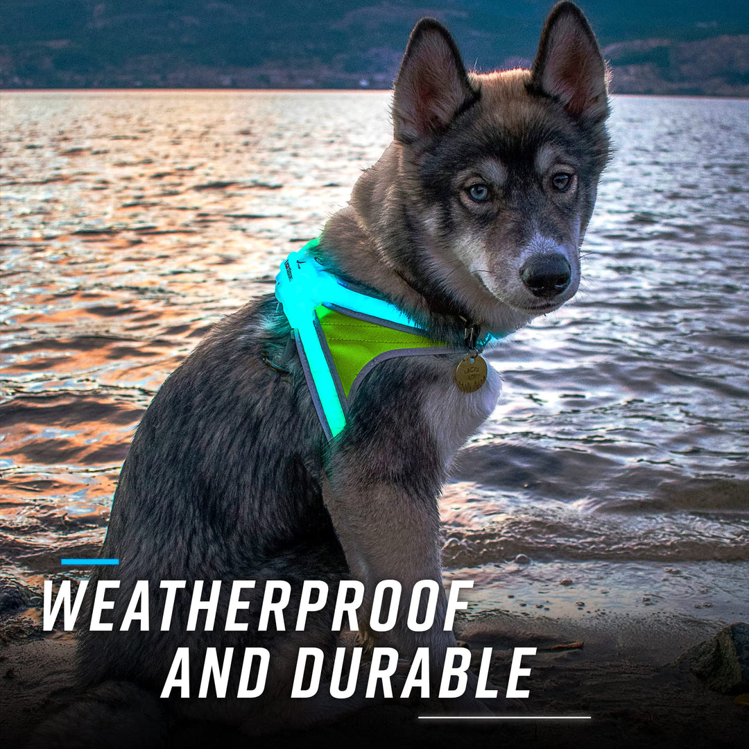 Noxgear LightHound – Revolutionary Illuminated and Reflective Harness for Dogs Including Multicolored LED Fiber Optics (USB Rechargeable, Adjustable, Lightweight, Rainproof) (Large)