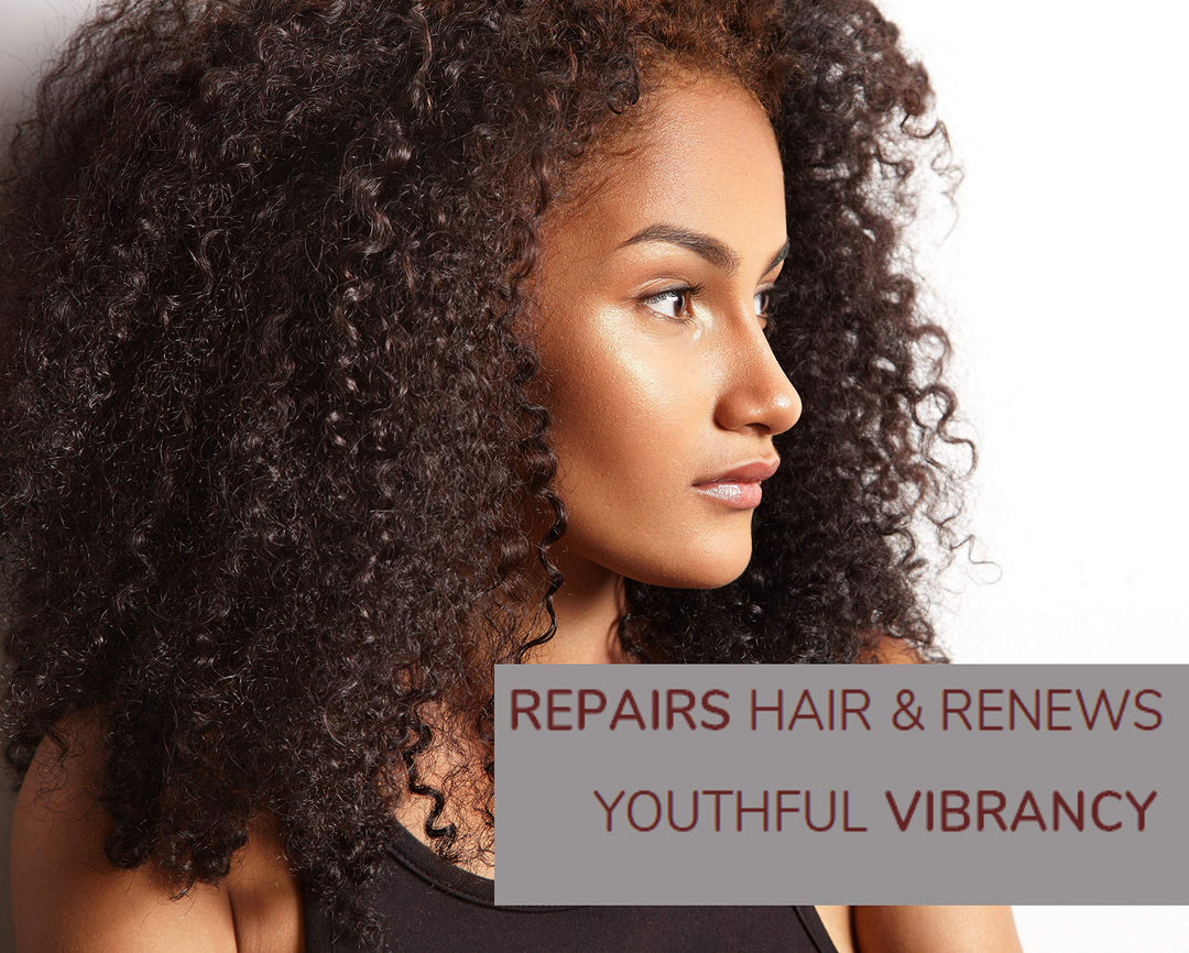 2chic Ultra-Repairing Shampoo - For Damaged, Over-Processed Hair, Helps Restore Hair&#39;s Natural Elasticity, Blackberry &amp; Coconut Oil, Argan, Shea Butter, Color Safe - 24 oz