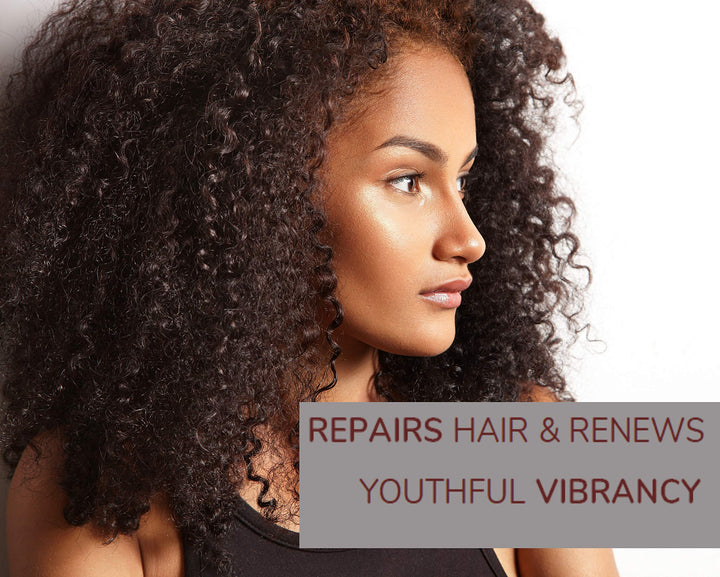 2chic Ultra-Repairing Shampoo - For Damaged, Over-Processed Hair, Helps Restore Hair&#39;s Natural Elasticity, Blackberry &amp; Coconut Oil, Argan, Shea Butter, Color Safe - 24 oz