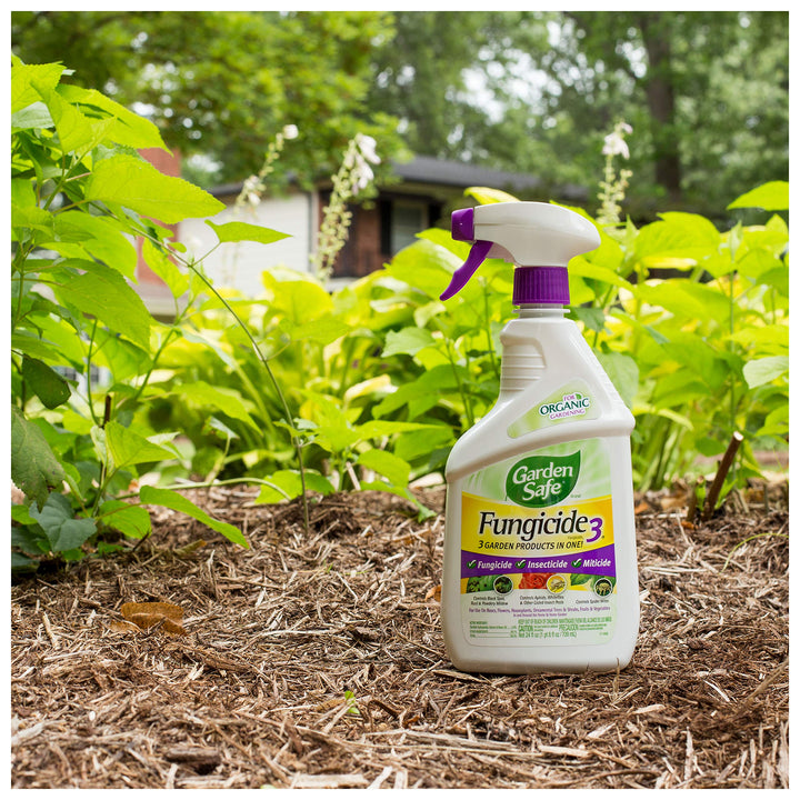 Fungicide, Prevents Fungal Diseases, Controls Black Spot, Rust and Powdery Mildew, Aphids, Whiteflies, Spider Mites, (RTU Spray) 24 fl Ounce