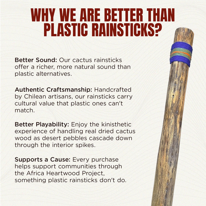30 Cactus Rainstick from Chile - Authentic Handcrafted Rain Stick Musical Instrument with Rasta Yarn Wrap and Durable Sealant