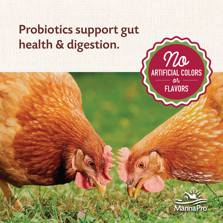 Manna Pro All Flock with Probiotics Crumble | Formulated with Vitamins and Minerals to Support a Balanced Diet | 8 Pounds
