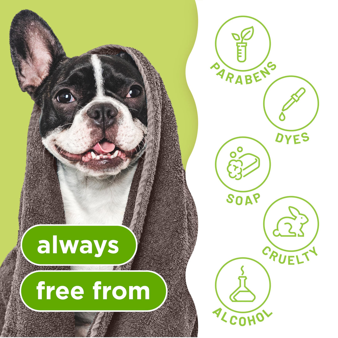 Deodorizing Dog Shampoo for Smelly Dogs, Powerful Odor Control, Puppy Safe, Made in the USA, Aloe &amp; Coconut Scent, Cat Friendly, 20oz.