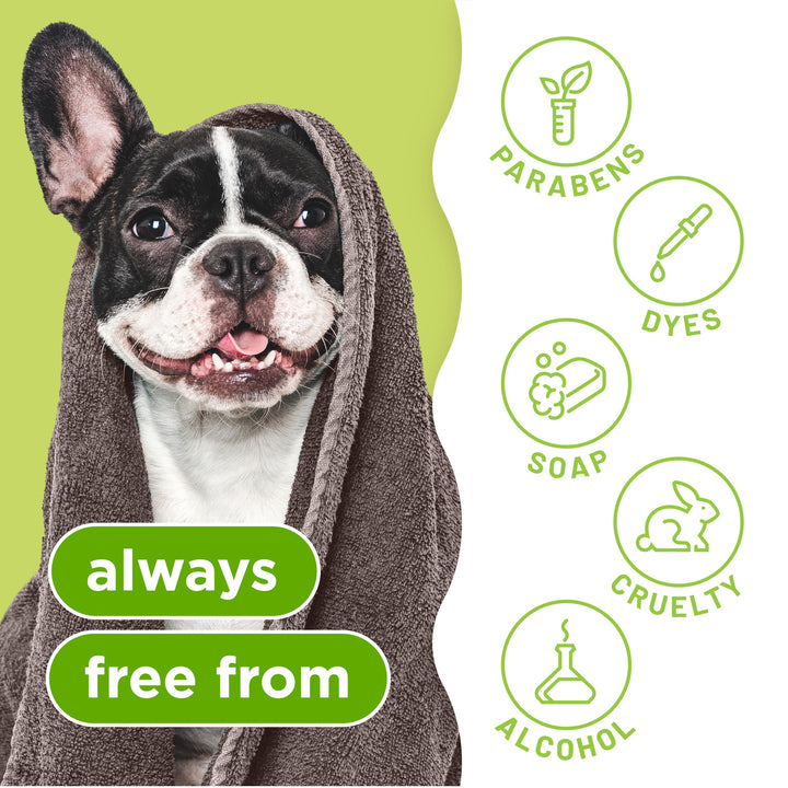 Deodorizing Dog Shampoo for Smelly Dogs, Powerful Odor Control, Puppy Safe, Made in the USA, Aloe &amp; Coconut Scent, Cat Friendly, 20oz.