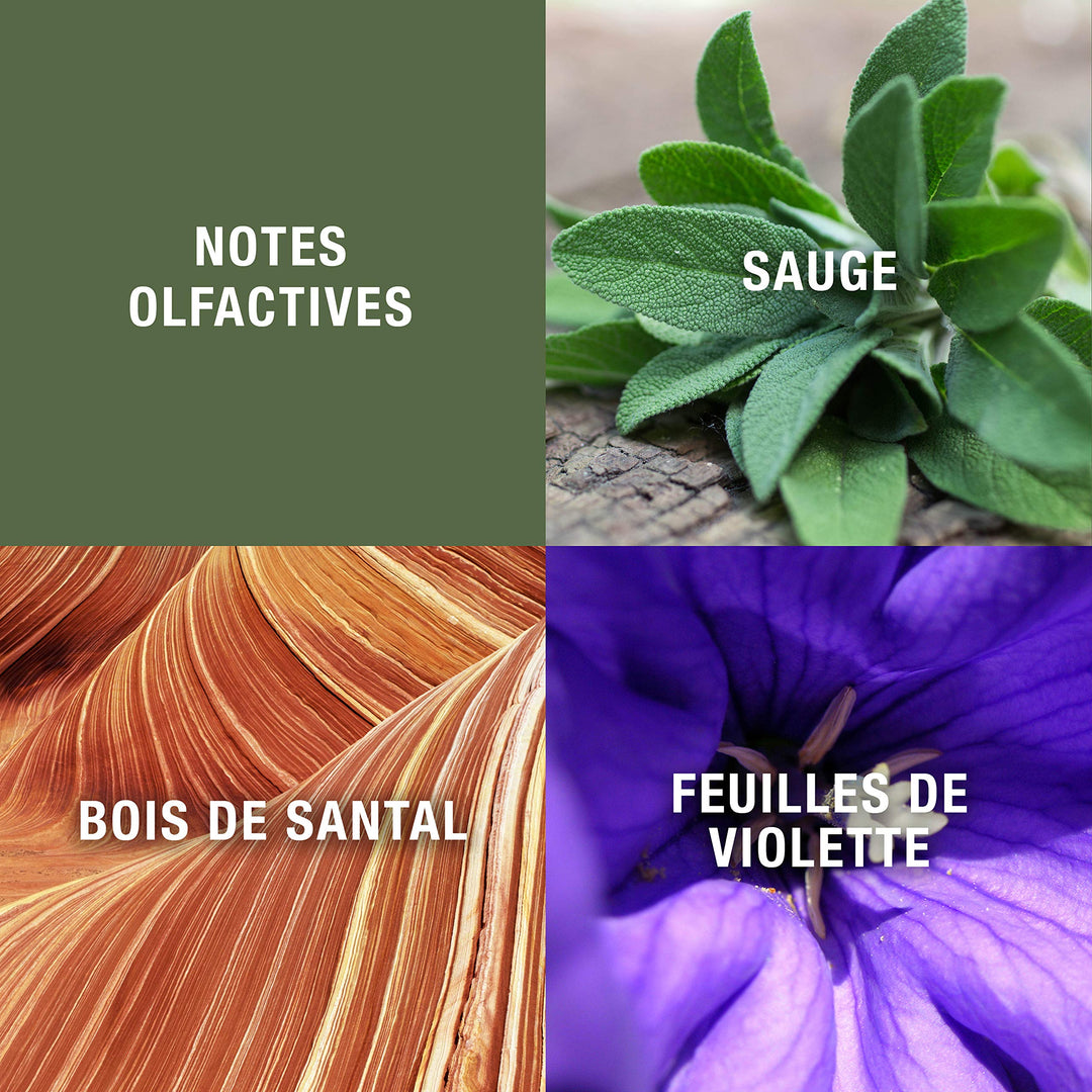 Grey Flannel 4 Oz Edt Sp Fragrance:men 0