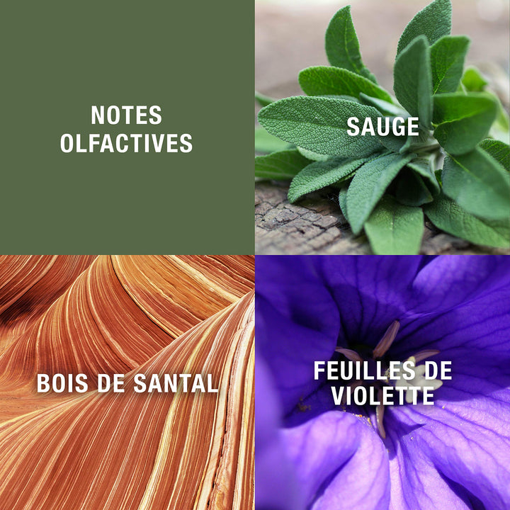 Grey Flannel 4 Oz Edt Sp Fragrance:men 0