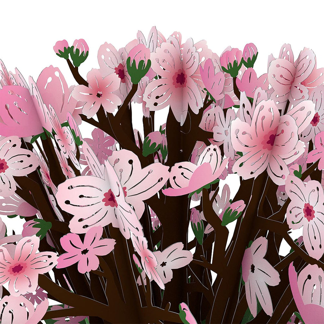 Everyday Pop-Up Card for Her and Him - 3D Pop-Up Bouquet Greeting Cards for Men, Women - Butterfly - 10.25 x 7.5 Floral Bouquet - Blank Note Card &amp; Envelope Included