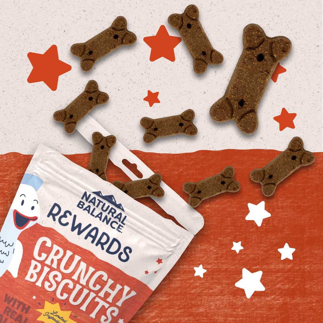 Limited Ingredient Rewards Crunchy Biscuits, Grain-Free Dog Treats for Adult Dogs of All Breeds, Salmon Recipe, 14 Ounce (Pack of 1)