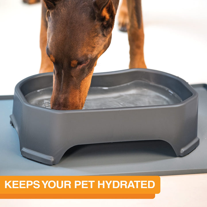 Big Bowl - Extra Large Water Bowl for Dogs (1.25 Gallon Capacity, 160 oz) - Huge Over Size Pet Bowl - Gunmetal Grey