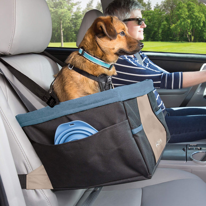 Dog Booster Seats for Cars - Pet Car Seats for Small Dogs and Puppies Weighing Under 30 lbs - Headrest Mounted - Dog Car Seat Belt Tether Included - Rover Style, Black/Blue