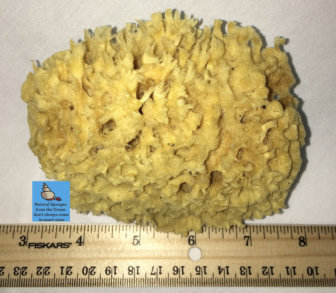 Natural Sea Wool Sponge 4-5 ® Amazing Natural Renewable ResourceCreating The in Home Perfect Bath and Shower Experience 100% Sa...