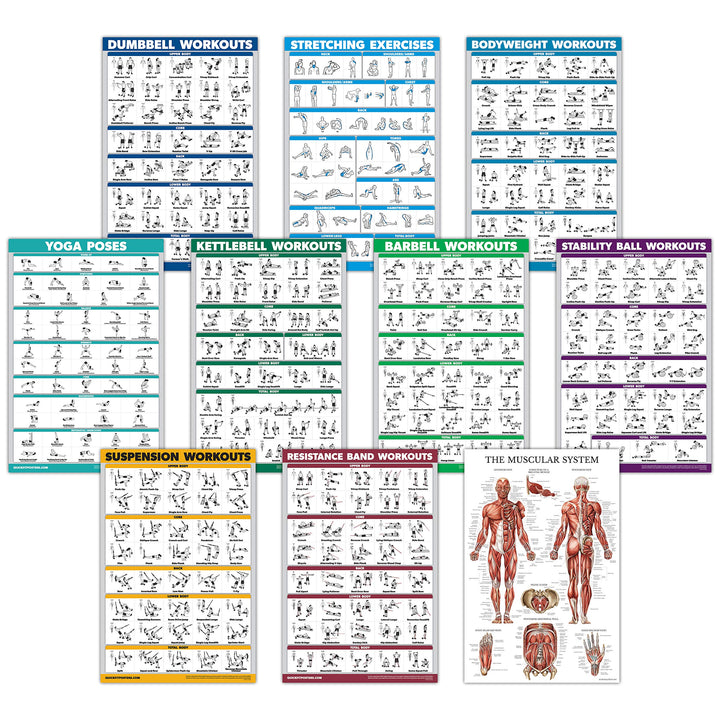 10 Pack - Exercise Workout Poster Set - Dumbbell, Suspension, Kettlebell, Resistance Bands, Stretching, Bodyweight, Barbell, Yoga Poses, Exercise Ball, Muscular System Chart (LAMINATED, 18 x 27)