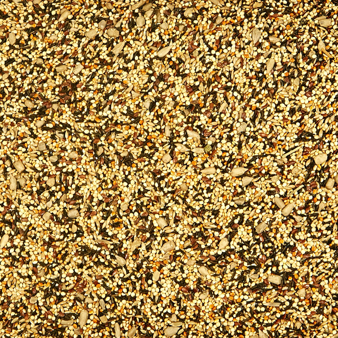 Wild Bird Finch Food Blend, 5 lb