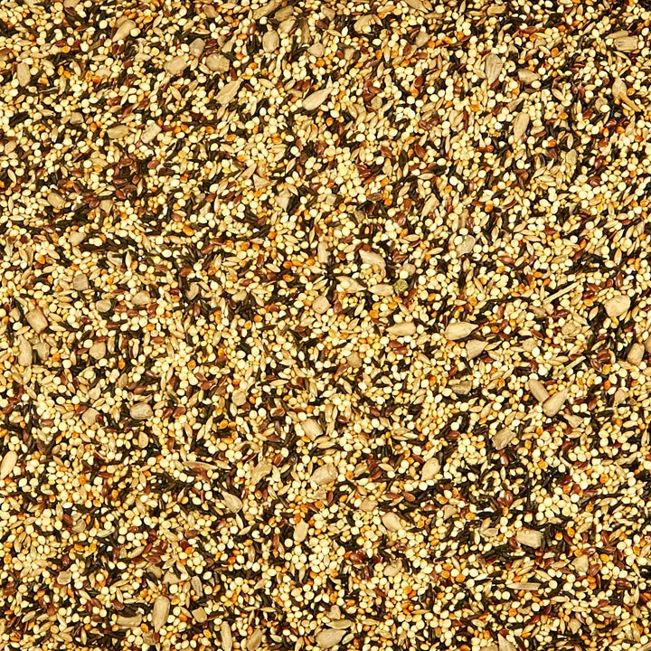 Wild Bird Finch Food Blend, 5 lb