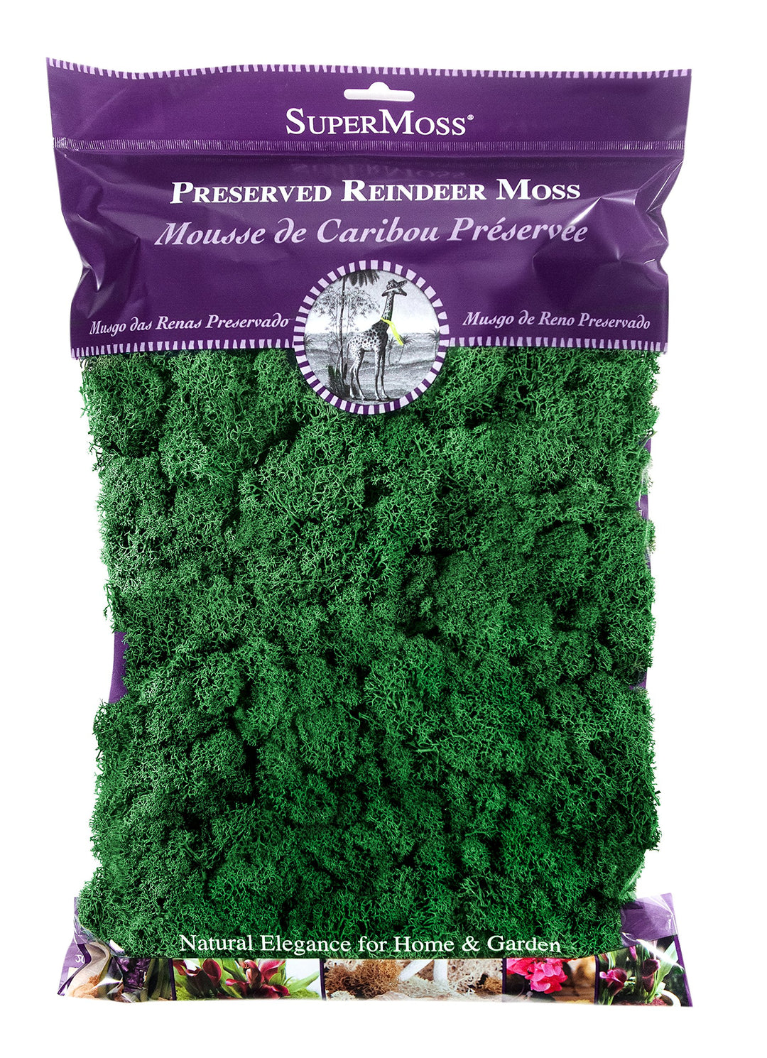 (21757) Reindeer Moss Preserved, Forest, 8oz (200 cubic inch)