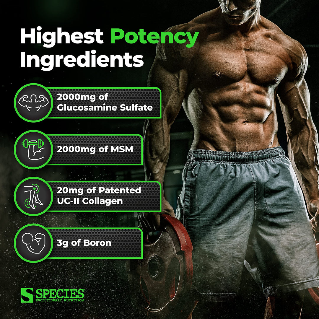 Arthrolyze Joint Repair Supplement, Fortified with UC-II Collagen, MSM, Glucosamine, Chondroitin, High Potency Connective Tissue &amp; Joint Support (300 Capsules)