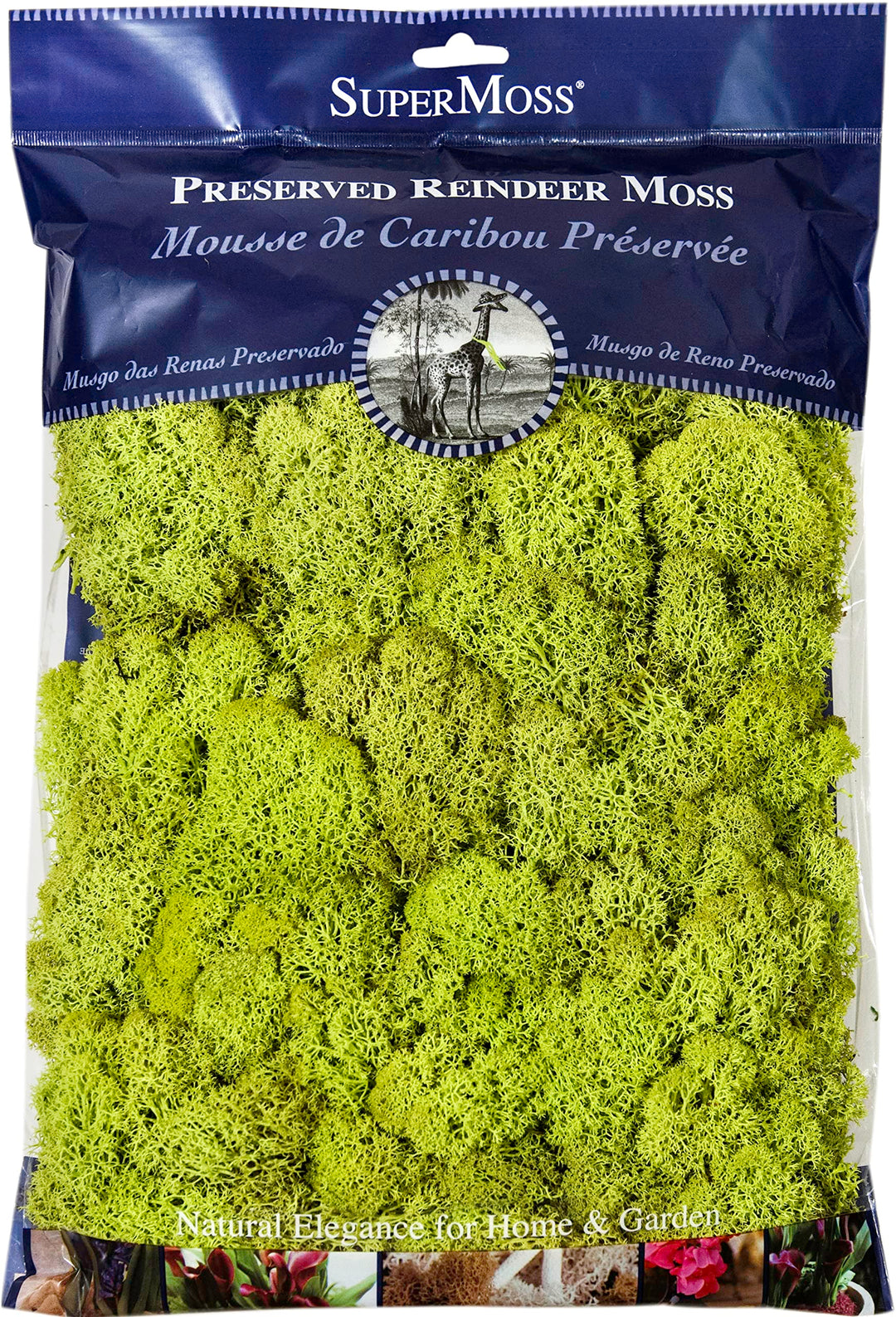 Super Moss 21669 Reindeer Moss Preserved, Chartreuse, 8oz (200 cubic inch)