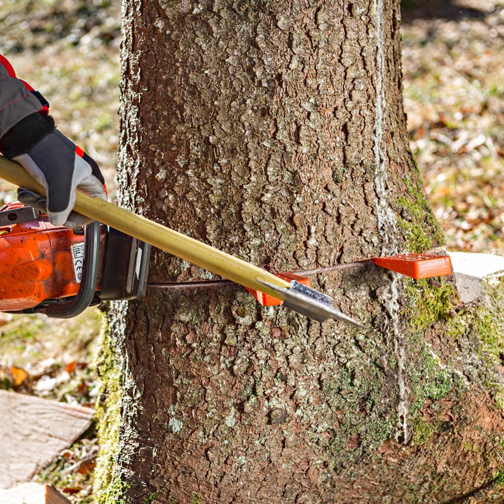 Felled Spiked Tree Felling Wedges for Tree Cutting – 10