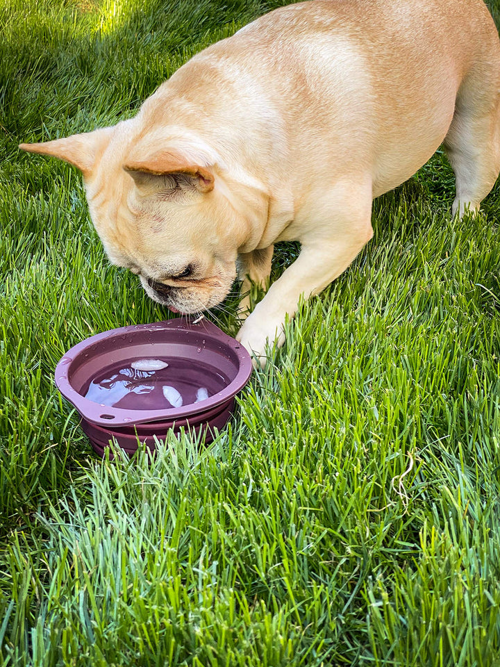 Ruff Products BarkBowl (800ml) - Collapsible Dog Bowl (Dark Teal) Premium Quality, Platinum-Cured Food Grade Silicone, No Plastic Rim, Food Safe, Large Travel Bowl