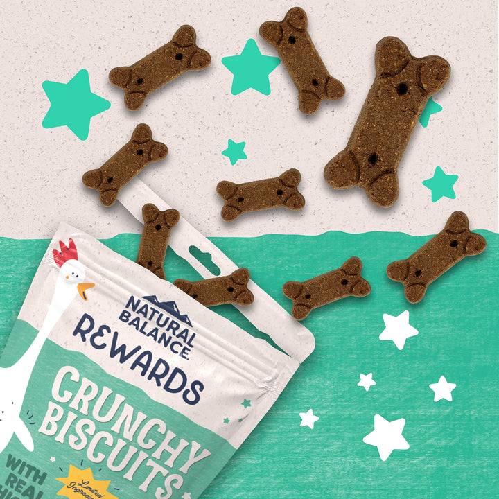 Limited Ingredient Rewards Crunchy Biscuits, Grain-Free Dog Treats for Adult Dogs of All Breeds, Chicken &amp; Sweet Potato Recipe, 14 Ounce (Pack of 1)
