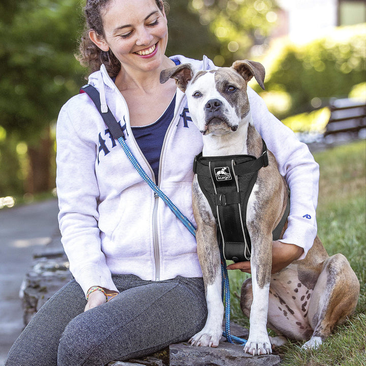 Tru-Fit Smart Harness, Dog Harness, Pet Walking Harness, Quick Release Buckles, Front D-Ring for No Pull Training, Includes Dog Seat Belt Tether (Black, Large)